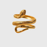 Aubrey | Regulowany Pierścień w Kształcie Węża